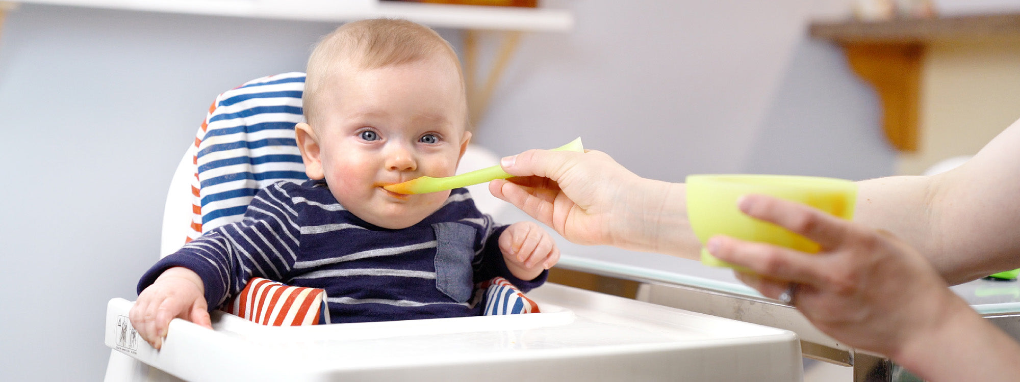 Parent Led Weaning