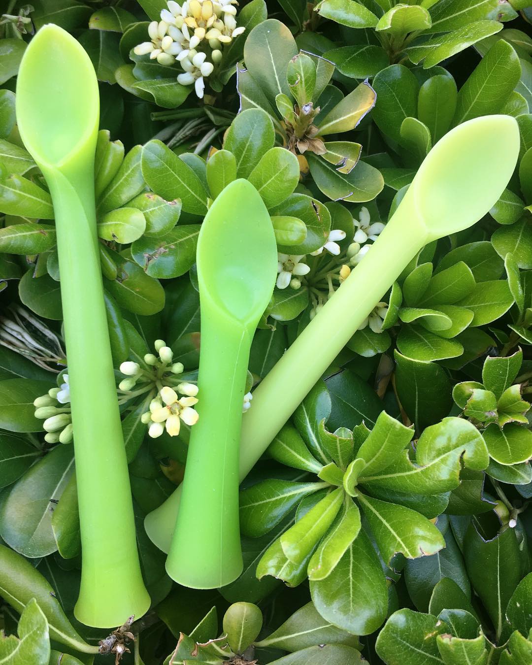 Two young fathers make baby spoon that inspires healthy eating habits