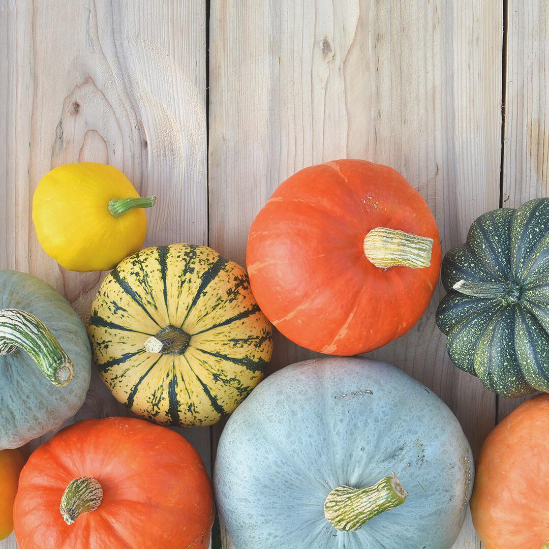 Beyond the Pumpkin: 5 Perfect Fall Veggies for Baby
