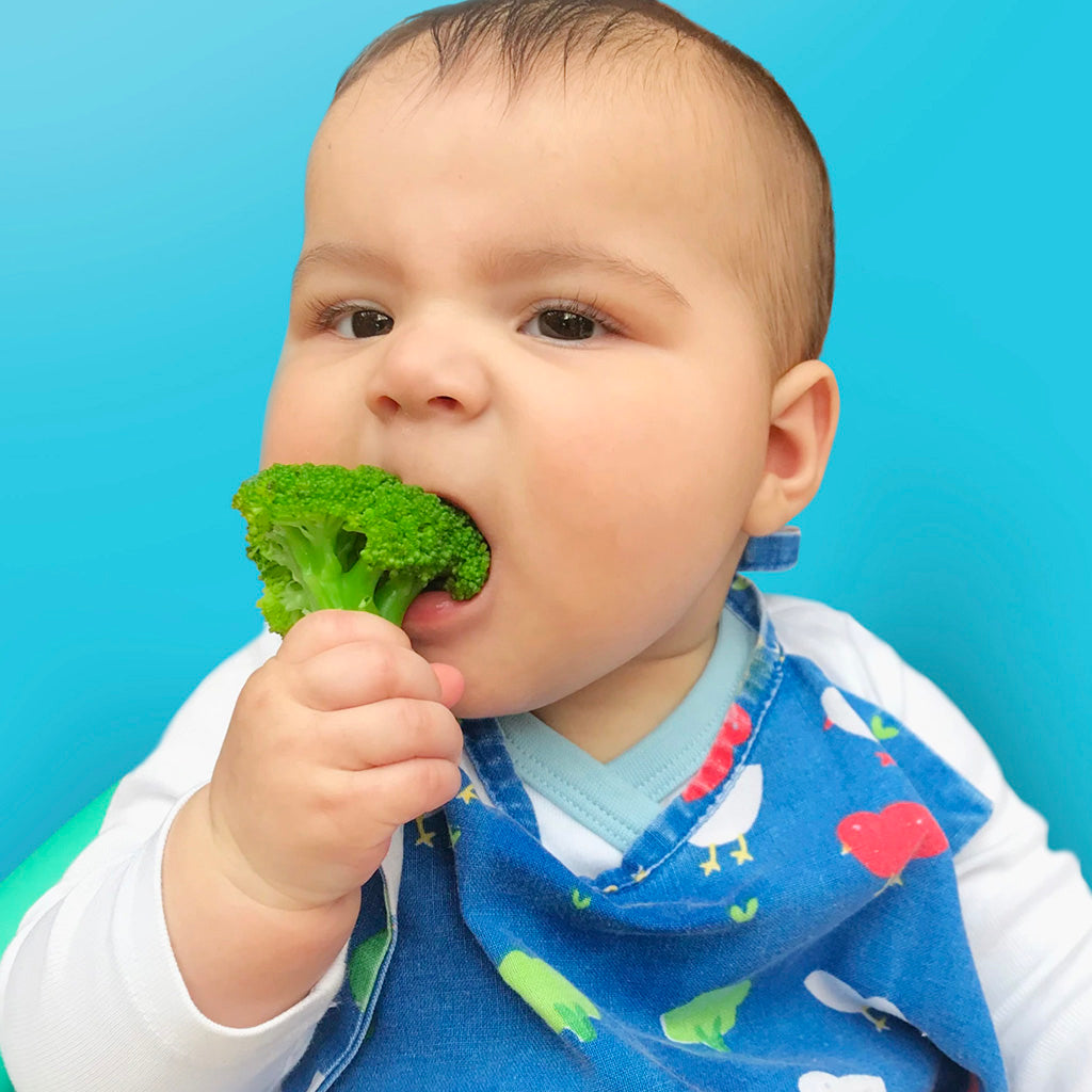 Everything You Need To Know About Introducing The First Food To Your Little One