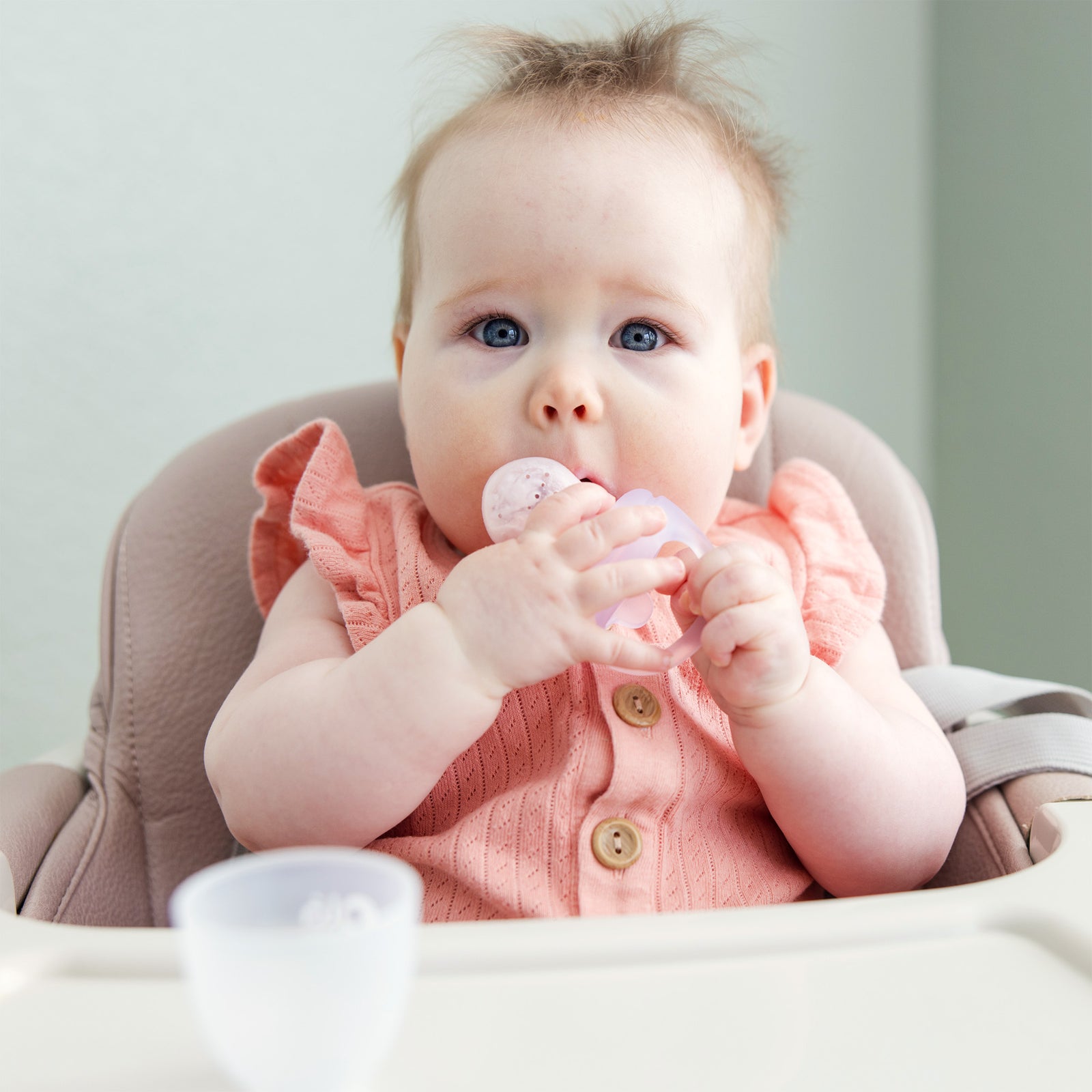 Food Feeder Set - Feeder + Freezer Tray with Lid - Olababy